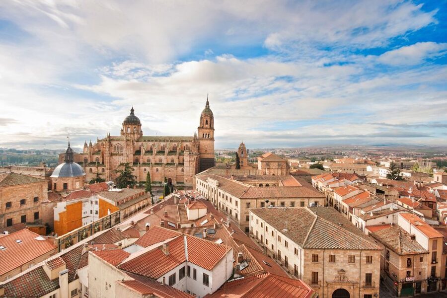 From Madrid: Ávila and Salamanca Guided Day Trip - Price and value from Madrid: Is $81 a fair deal?