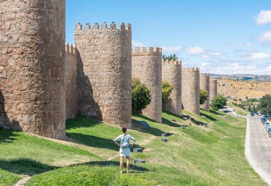 From Madrid: Day Trip to Ávila and Salamanca w/ Guided Tour - Salamanca first: Plaza Mayor and the Cathedral visit