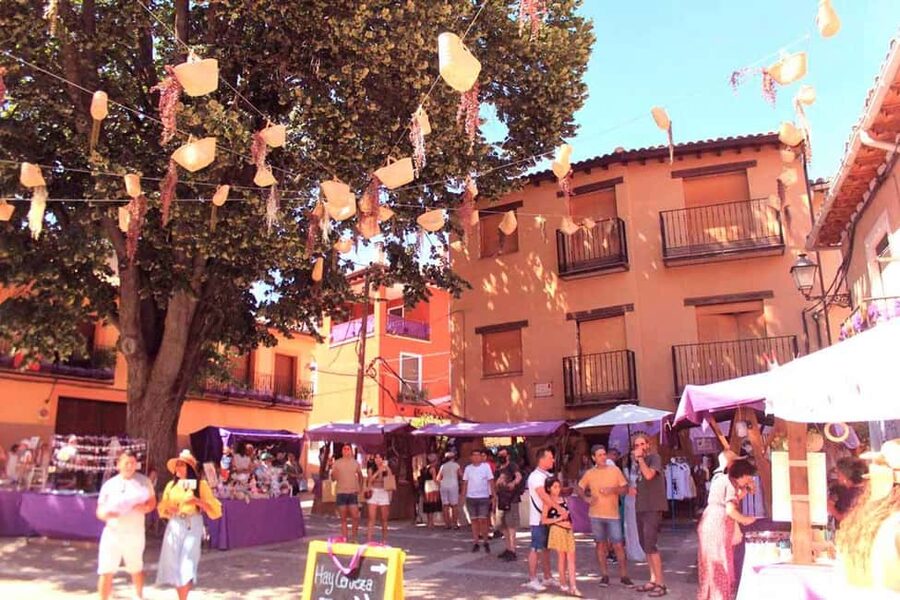 From Madrid: Day Trip to Brihuega Lavender Fields - Brihuega’s medieval core: walls, castle, and purple streets