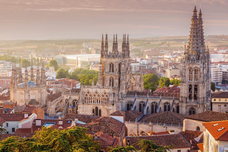 From Madrid: Day trip to Toledo and Don Quixote Windmills - Practical tips that make the day feel smoother