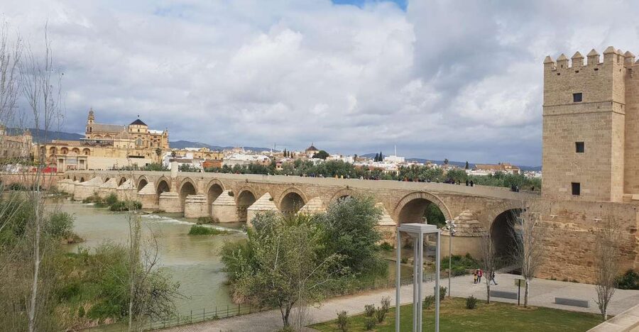 From Malaga and Costa Del Sol: Cordoba Day Trip - Mosque-Cathedral of Córdoba and the Patio de los Naranjos