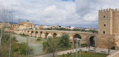 From Malaga and Costa Del Sol: Cordoba Day Trip - Jewish Quarter Lanes, Calleja de las Flores, and Córdoba Synagogue