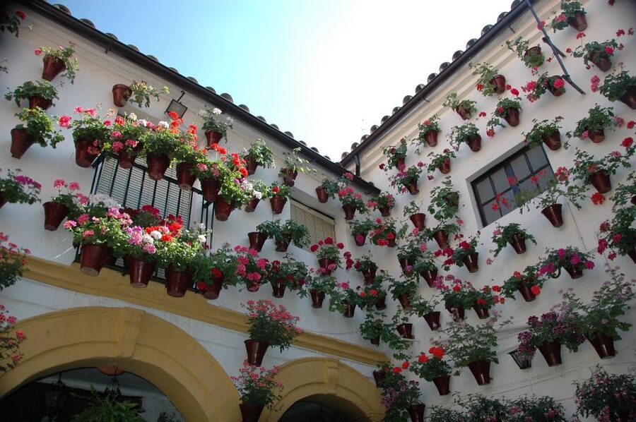 From Malaga and Costa Del Sol: Cordoba Day Trip - FAQ