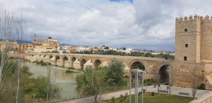 From Malaga and Costa Del Sol: Cordoba Day Trip - Jewish Quarter Lanes, Calleja de las Flores, and Córdoba Synagogue