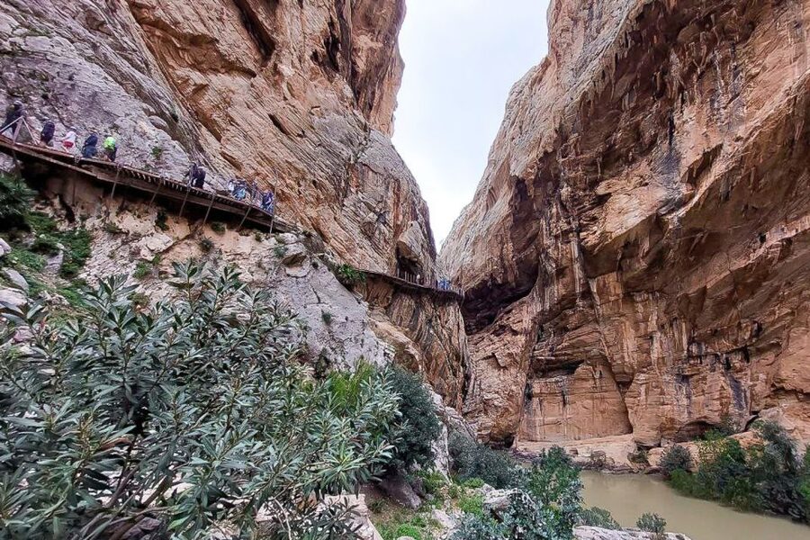 From Málaga: Caminito del Rey Guided Day Trip - Quick hits: why this day trip works