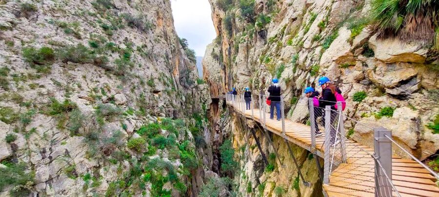 From Málaga: Caminito del Rey Guided Day Trip - Getting to the gorge: meeting points, bus timing, and what the ride includes
