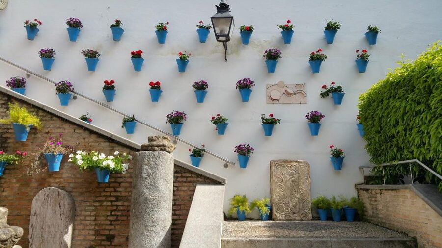 From Malaga: Cordoba Day Trip and Mosque-Cathedral - Key reasons this trip works so well