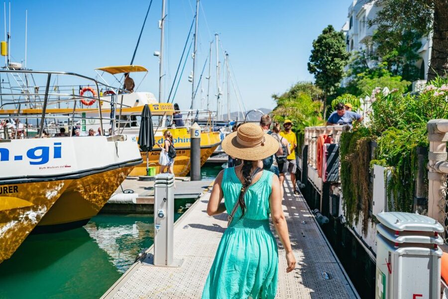 From Malaga: Day trip to Gibraltar and Dolphin Boat Tour - The port meet-up and the dolphin boat start