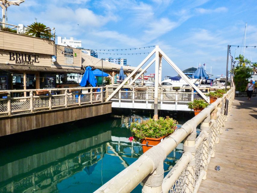 From Malaga: Day trip to Gibraltar and Dolphin Boat Tour - Guides and pacing: the human factor matters