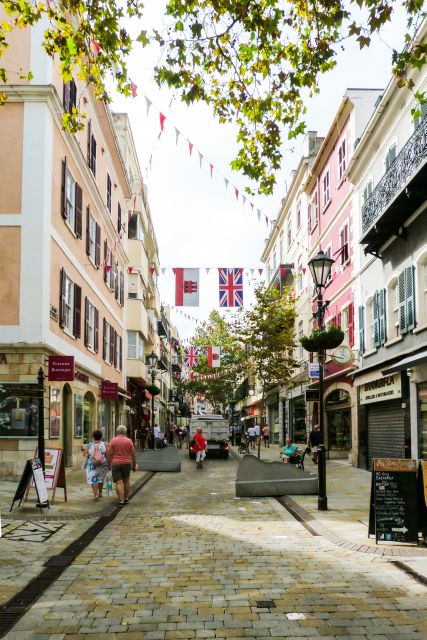 From Malaga: Day trip to Gibraltar and Dolphin Boat Tour - Border day reality: your ID is the ticket