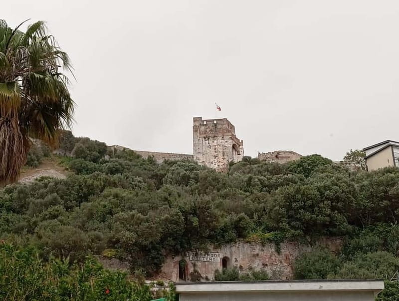 From Málaga: Gibraltar Day Trip - Barbary apes and caves: where queues can happen