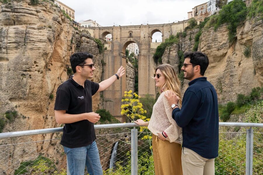 From Málaga: Ronda, White Village & Sevilla Day Trip - Entry Tickets, Waiting, and How to Avoid Time Sinks