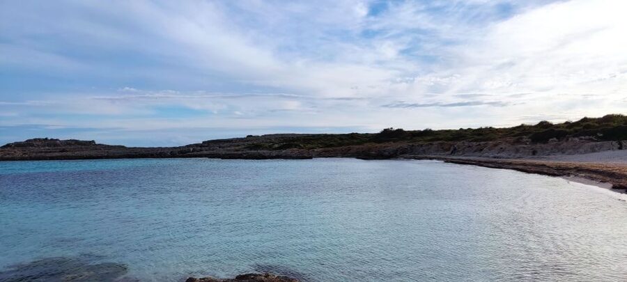 From Mallorca: Guided Day Trip to Menorca - Fornells: Fishing-Village Streets and a Real Working Harbor