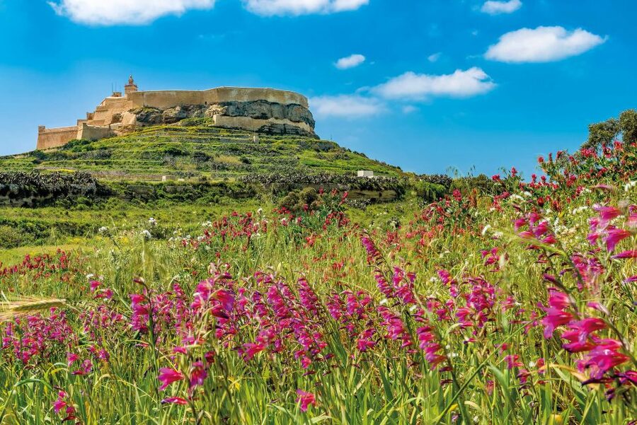 From Malta: Gozo Day Trip Including Ggantija Temples - Should you book this Gozo day trip?