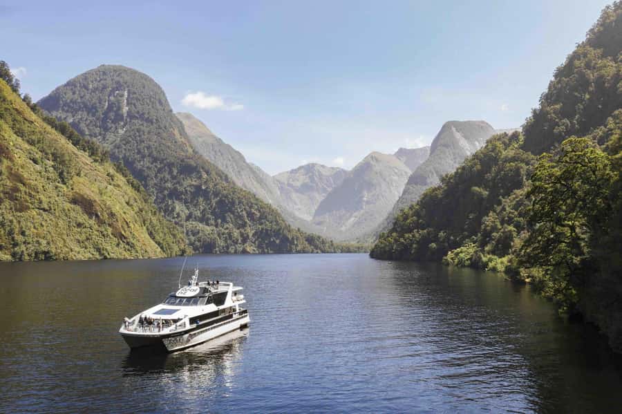From Manapouri: Doubtful Sound Wilderness Day Trip - Deep Cove and the Patea Explorer: the part you came for