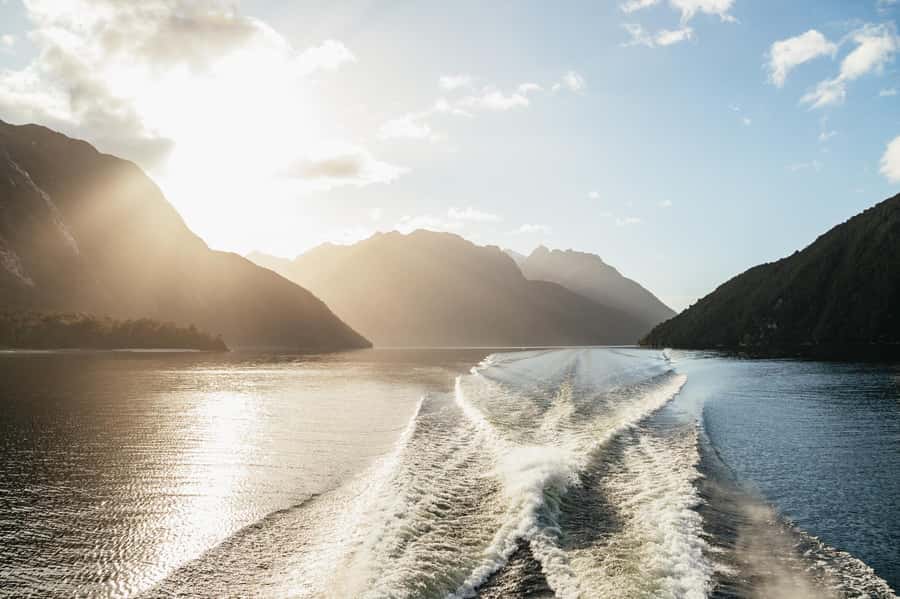 From Manapouri: Doubtful Sound Wilderness Day Trip - Food, drinks, and the money question: is $208 actually fair?