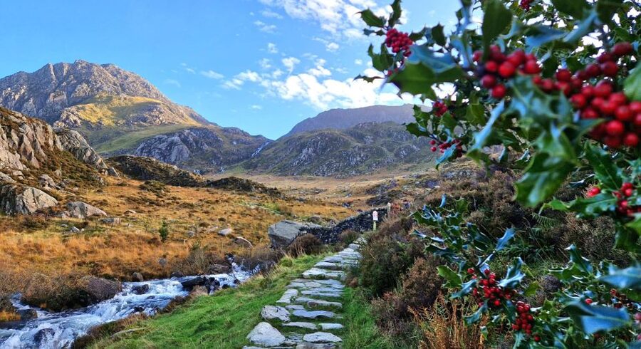 From Manchester: North Wales and Caernarfon Castle Day Trip - The value of the guide: why the ride feels worth it
