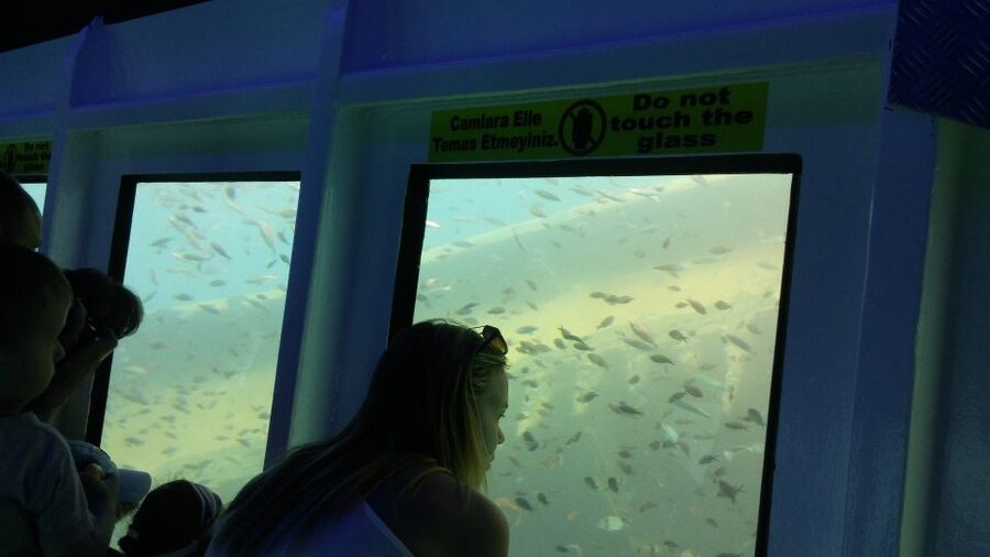 From Marmaris: Day Trip by Glass Bottom Semi Submarine - Who this day trip is perfect for