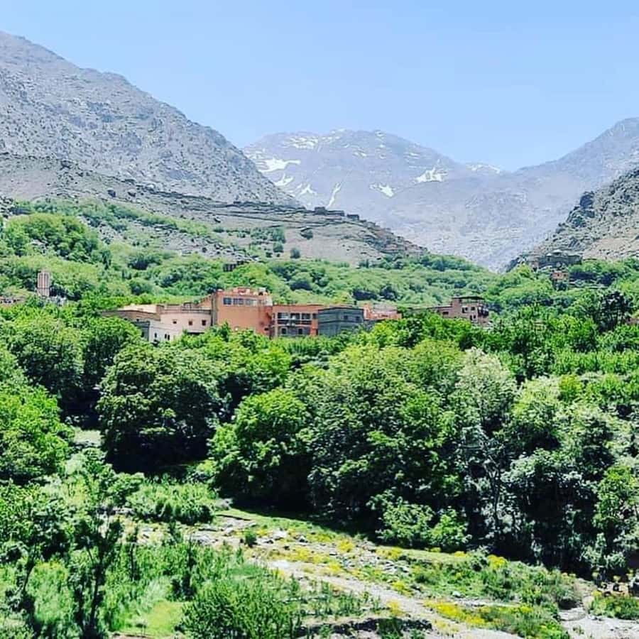 From Marrakech: Atlas Mountains and Berber Village Day Trip - Lunch in a Berber Setting: Soup or Salad, Tagine, Couscous, Mint Tea