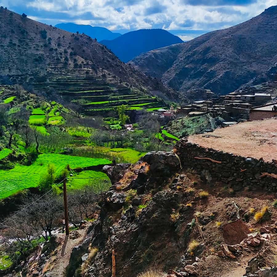 From Marrakech: Atlas Mountains and Berber Village Day Trip - Argan Oil Co-operative: A Culture Stop That’s Actually Useful