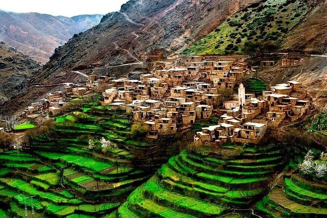 From Marrakech: Atlas Mountains and Berber Villages Day Trip - Camel ride + mule team: the Agafay-style desert idea without overcommitting your day