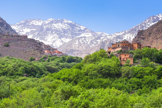 From Marrakech: Atlas Mountains and Berber Villages Day Trip - Lunch with a Berber family: local food, and the one cash item to plan for
