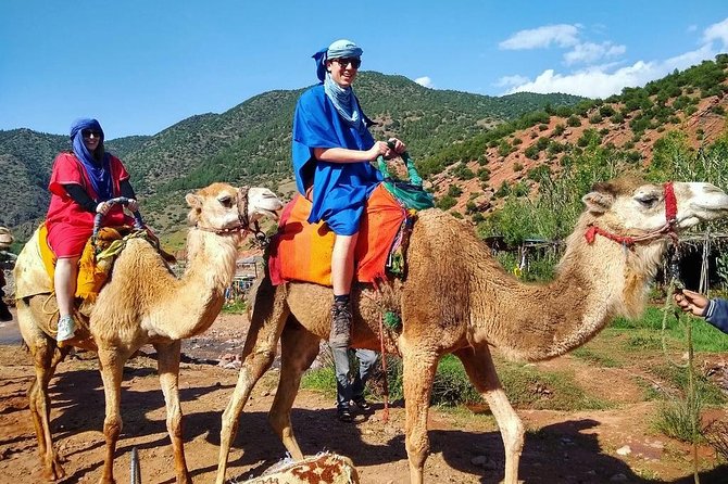 From Marrakech: Atlas Mountains and Berber Villages Day Trip - Getting back to Marrakech: the day stays structured, even on mountain roads