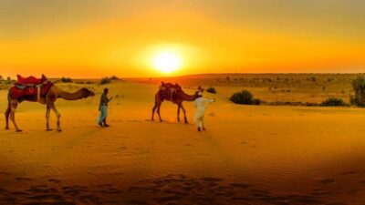 From Marrakech: Atlas Mountains and Three Valleys Day Trip - Pickup, timing, and how to set expectations