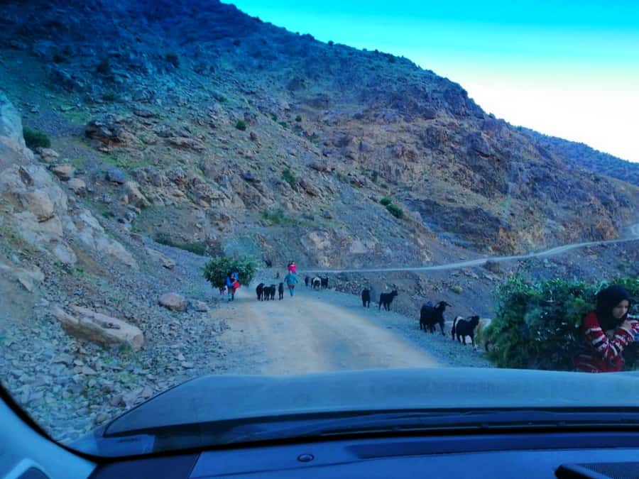 From Marrakech: Atlas Mountains and Three Valleys Day Trip - Amizmiz Valley tea break: the part that turns sightseeing into understanding