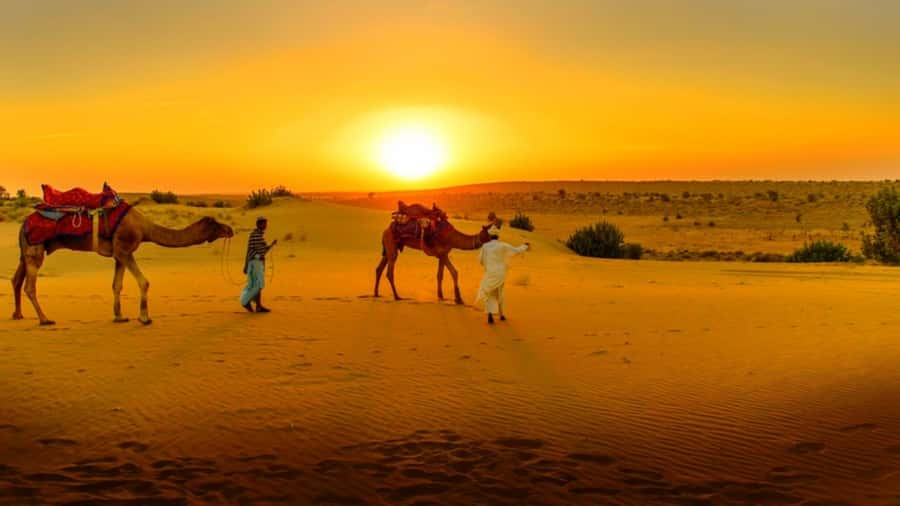 From Marrakech: Atlas Mountains and Three Valleys Day Trip - Pickup, timing, and how to set expectations