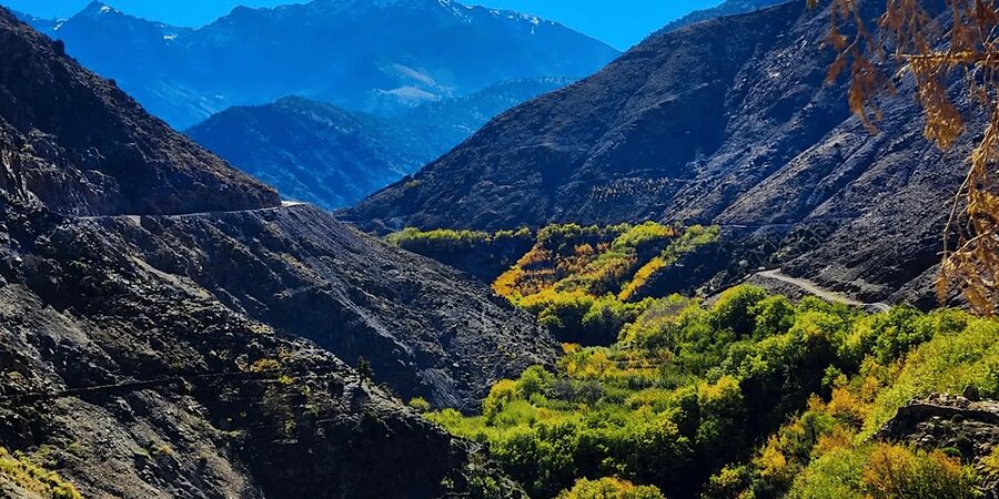 From Marrakech: Atlas Mountains Day Trip with Camel Ride - What to pack so the day stays comfortable (not miserable)