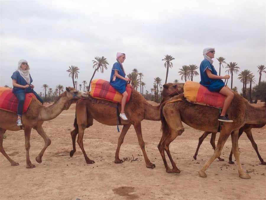 From Marrakech: Camel Ride, Quad Bike & Spa Full-Day Trip - The hammam at Click Riad & Spa: black soap, eucalyptus scrub, argan-oil massage