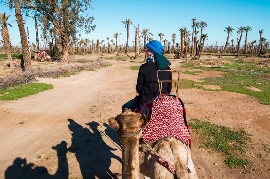 From Marrakech: Camel Ride, Quad Bike & Spa Full-Day Trip - Quad biking in the Marrakech outskirts: off-road fun with dust and pace control