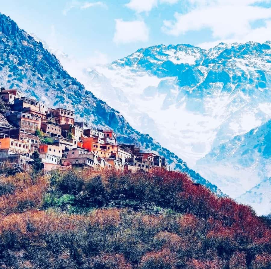 From Marrakech: Day Trip to Anima Garden and Imlil Valley - Key things I think you’ll care about