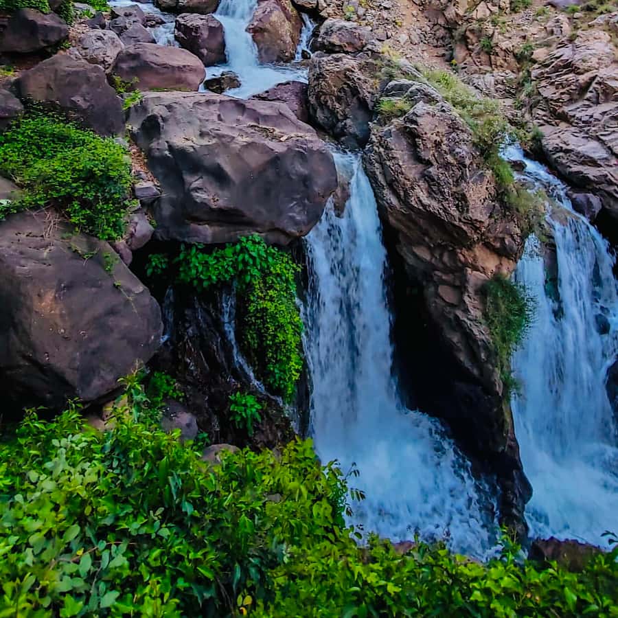From Marrakech: Day Trip to Anima Garden and Imlil Valley - Entering Anima Garden: a 45-minute break from Marrakech noise