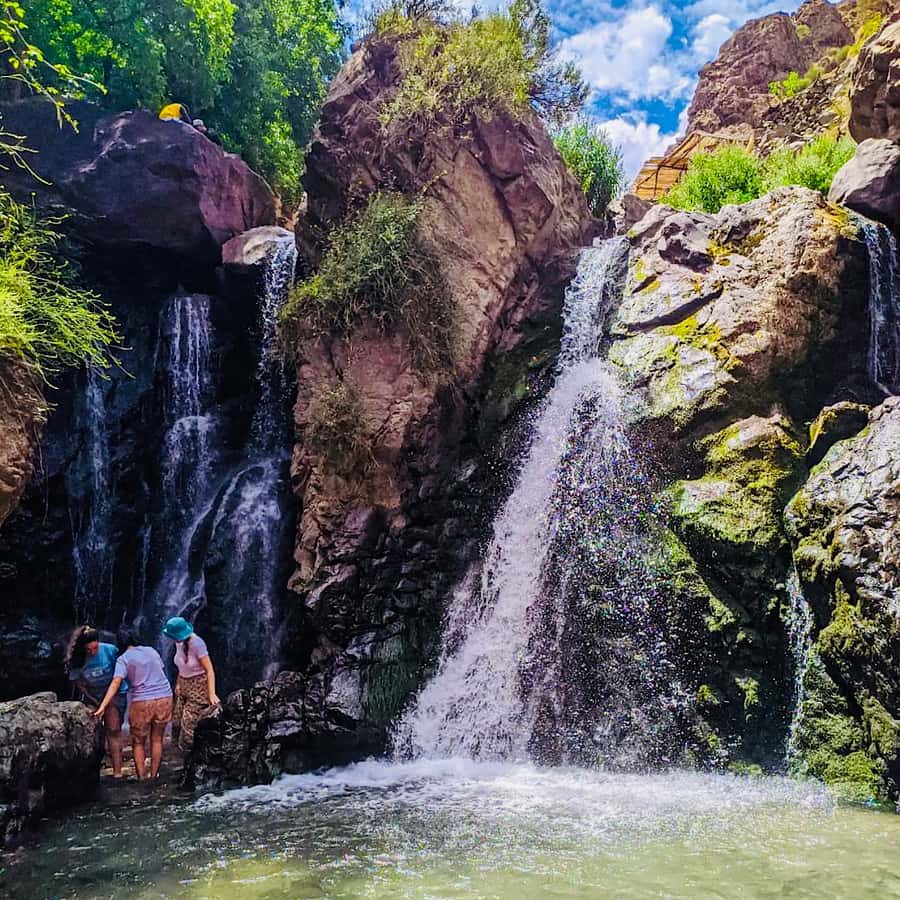 From Marrakech: Day Trip to Anima Garden and Imlil Valley - Price and logistics: does $39 feel fair?
