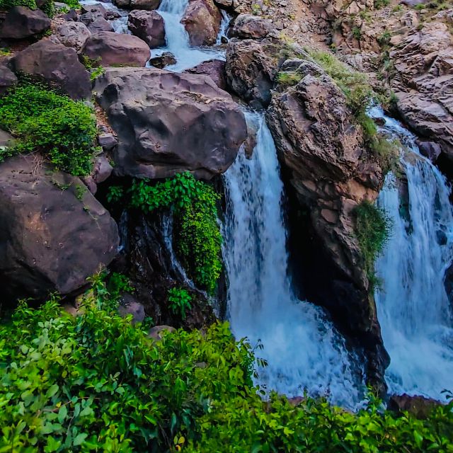 From Marrakech: Day Trip to Anima Garden and Imlil Valley - Who this trip fits best