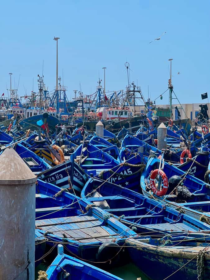 From Marrakech: Day Trip to Essaouira with Transfers - Chichaoua coffee stop and the Ounagha-style break that breaks up the drive