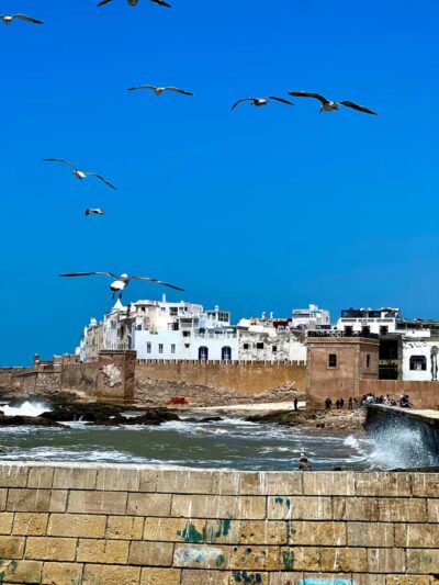 From Marrakech: Day Trip to Essaouira with Transfers - The 8 am Marrakech pickup: comfortable ride, clear handoff
