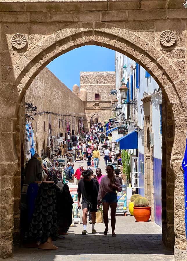 From Marrakech: Day Trip to Essaouira with Transfers - Passing through the argan forest: more than a scenic detour