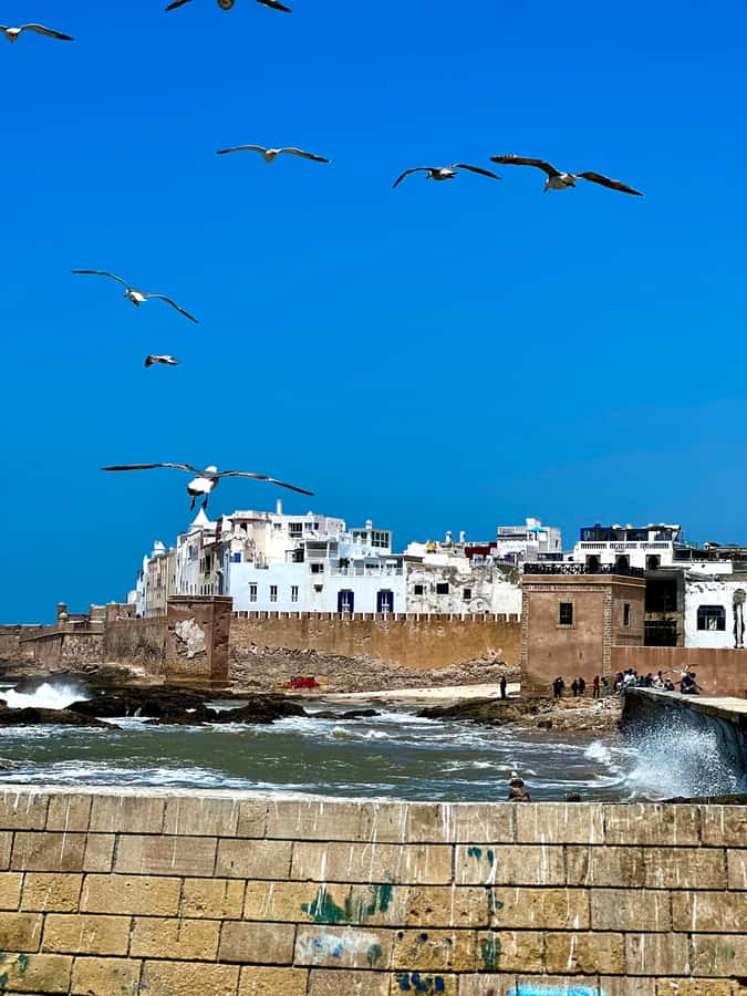 From Marrakech: Day Trip to Essaouira with Transfers - The 8 am Marrakech pickup: comfortable ride, clear handoff