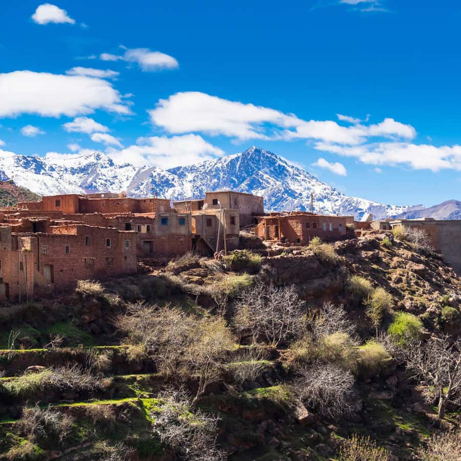From Marrakech: Day Trip to Ourika Valley with Waterfalls - Moroccan Lunch by the River: What You Can Expect (and How to Plan)