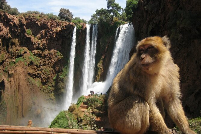 From Marrakech: Day Trip to Ouzoud Waterfalls Guided & Boat Ride - Getting to Cascades d’Ouzoud: the long drive you should plan for