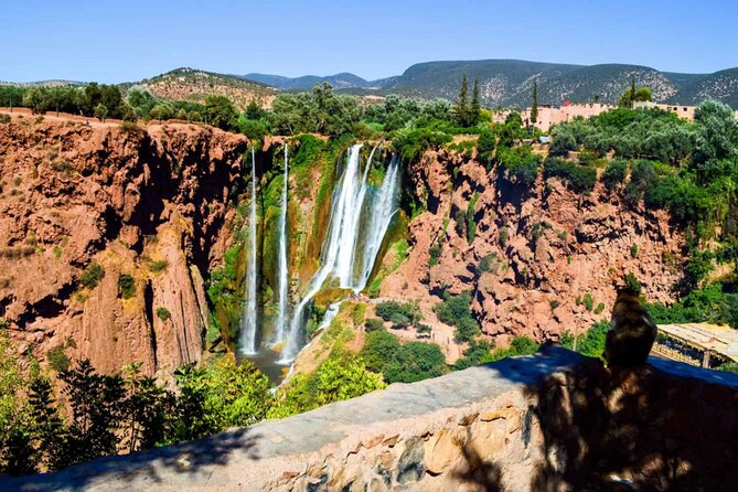 From Marrakech: Day Trip to Ouzoud Waterfalls Guided & Boat Ride - Timing and what to expect on the ground