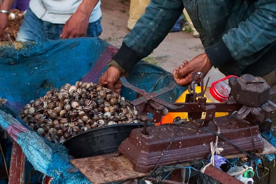 From Marrakech: Essaouira & Atlantic Coast Full-Day Trip - Beaches and beach-walk time: 6+ miles of wind and gold sand