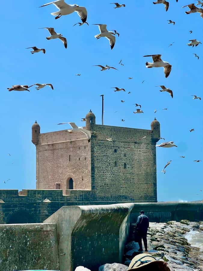 From Marrakech: Essaouira Coastal City Day Trip - First sights in Essaouira: Skala de la Ville and Place Moulay Hassan