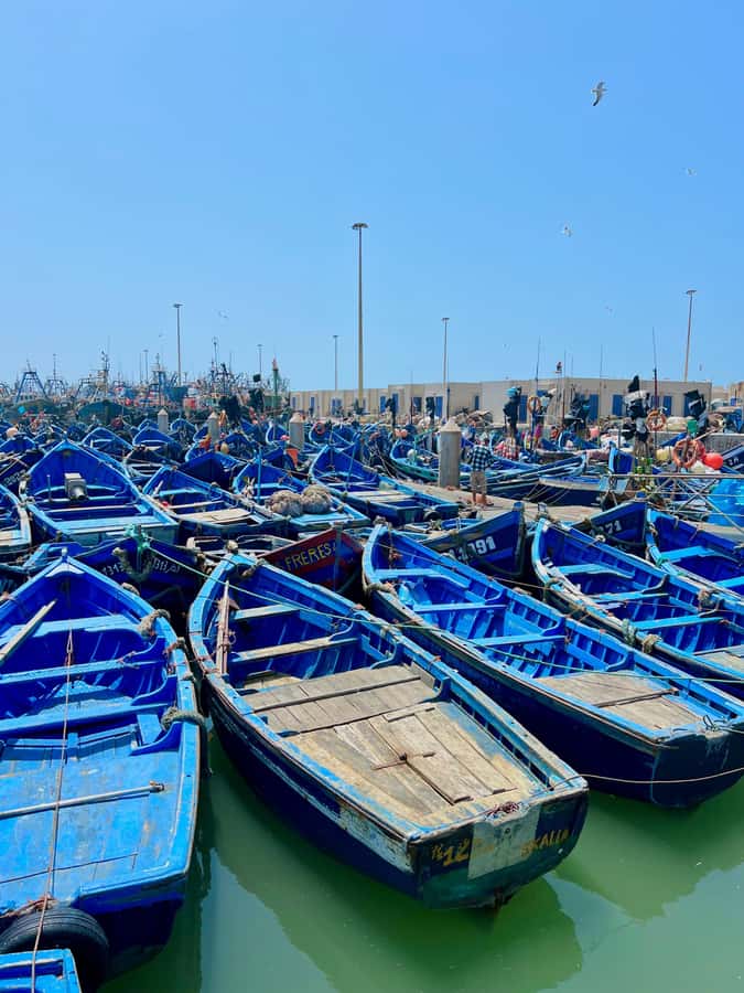 From Marrakech: Essaouira Coastal City Day Trip - Souks, silver, spices, and the fish port energy