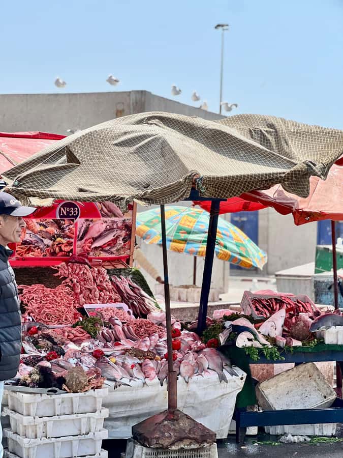 From Marrakech: Essaouira Coastal City Day Trip - Beach time in the Atlantic wind: pack for cold, not just sun
