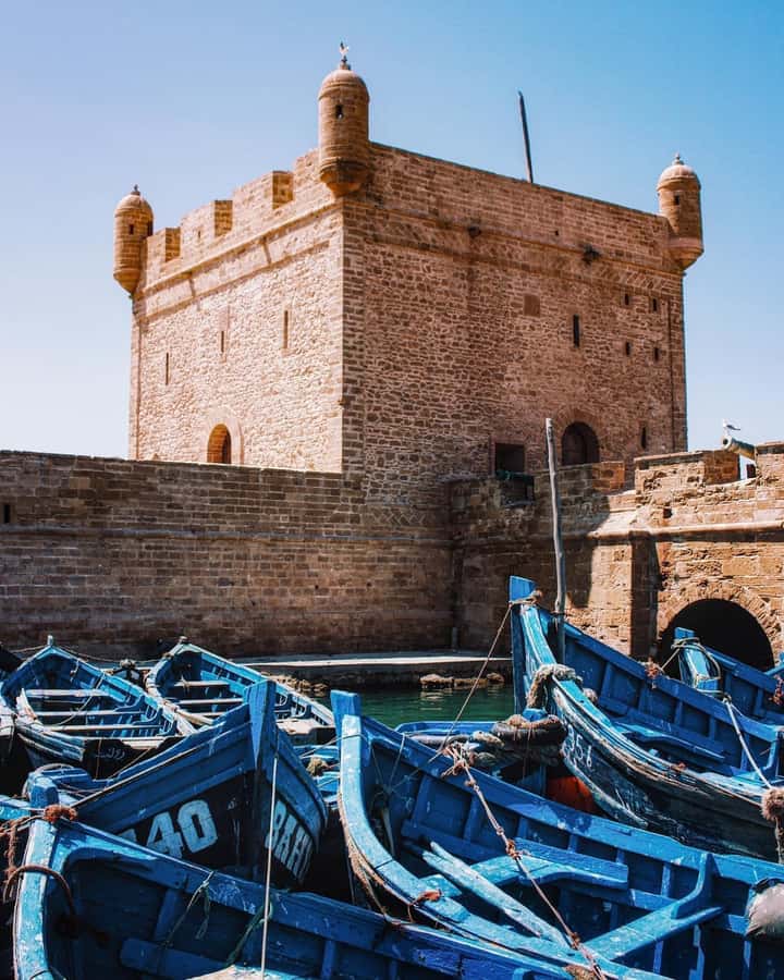From Marrakech: Essaouira Coastal City Day Trip - The $10 price: what you’re really paying for