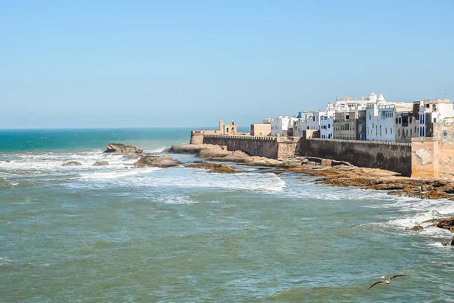 From Marrakech: Essaouira Day Tour with Optional Activities - Who should book this Essaouira day trip